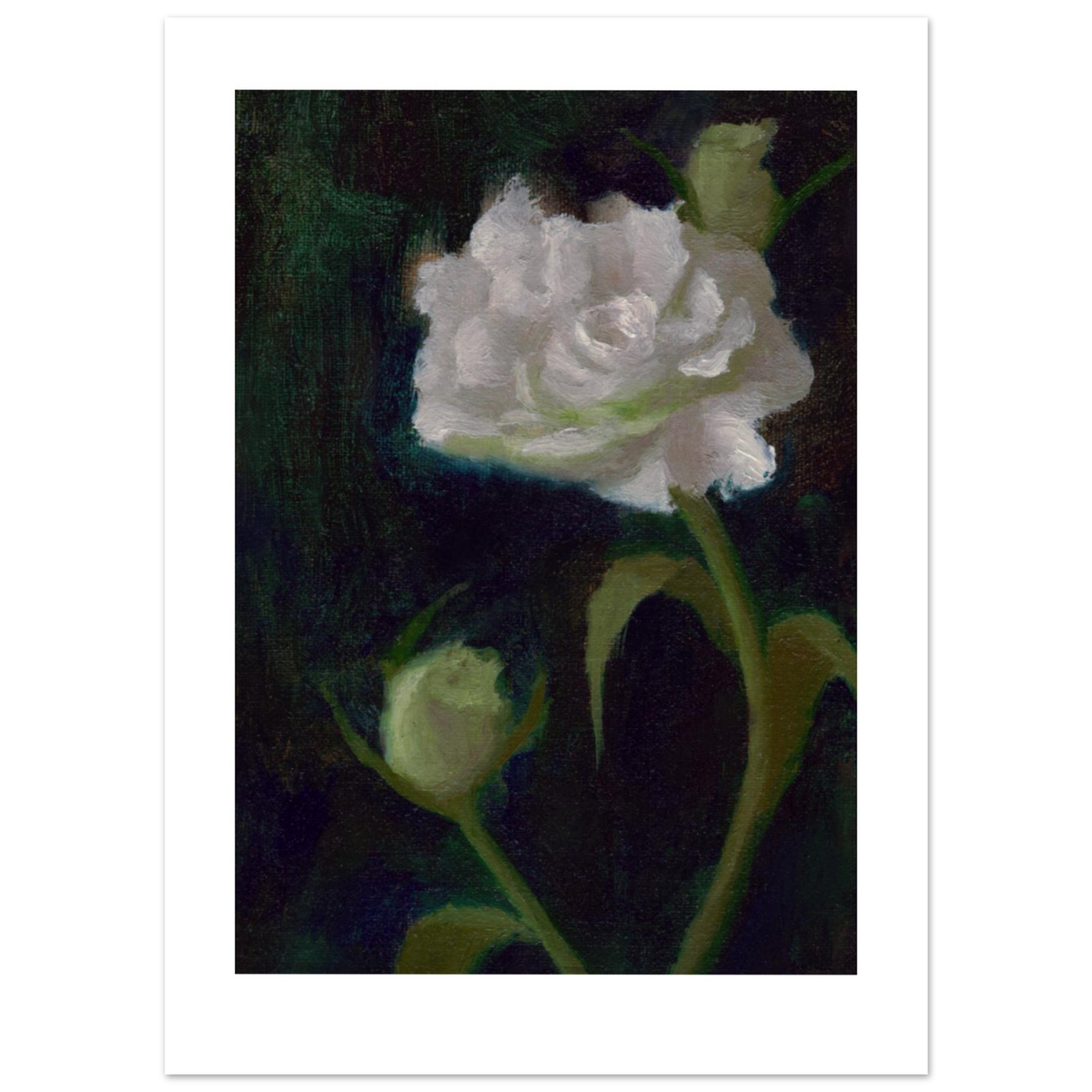 Flower Rescued from the Dustpan, an 11×14-inch fine art print featuring a luminous white rose and green buds against a dark green background.