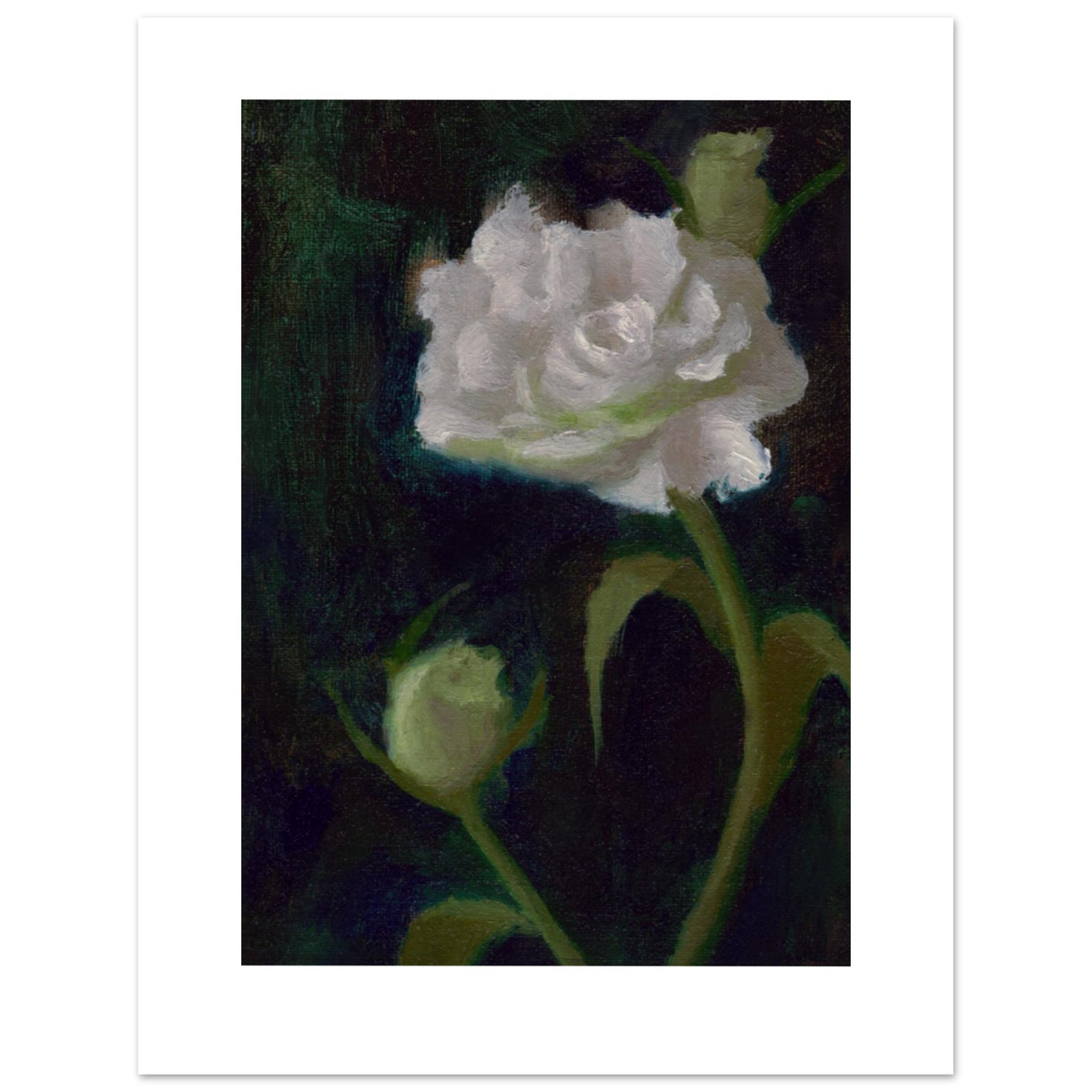 A luminous white rose with green buds against a deep green background, painted in oils from life by Noorjahan Mahajabin Asha.