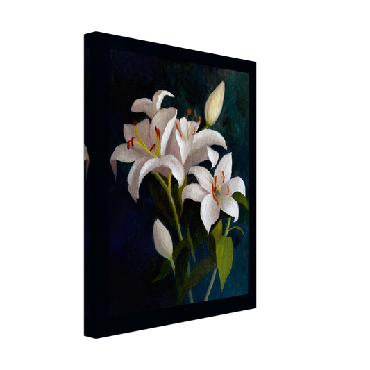Casablanca Lily 11×14 canvas print of white lilies against a deep blue-green background, from an original oil painting by Asha.