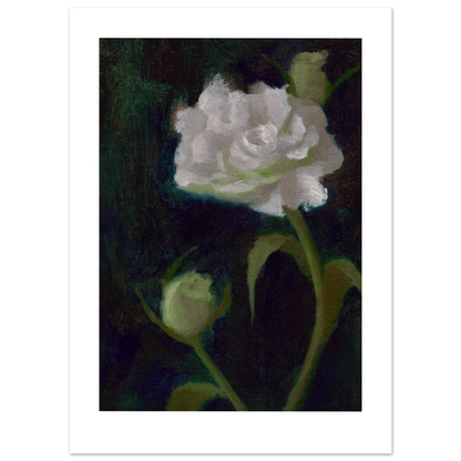 Flower Rescued from the Dustpan, an 11×14-inch fine art print featuring a luminous white rose and green buds against a dark green background.