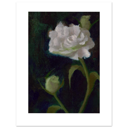 A luminous white rose with green buds against a deep green background, painted in oils from life by Noorjahan Mahajabin Asha.