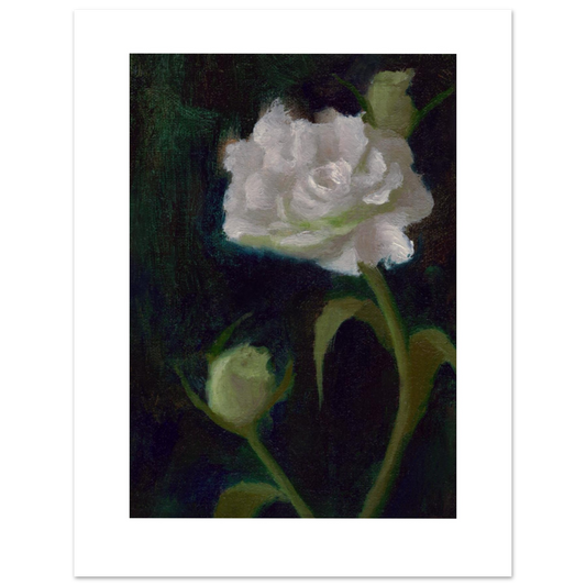 A luminous white rose with green buds against a deep green background, painted in oils from life by Noorjahan Mahajabin Asha.