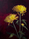 Yellow Chrysanthemum in Crimson World